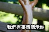 好的，请提供您想要的标题或主题，我将为您生成一篇符合百度收录标准的文章和相应的标题。