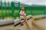 三森先生的奇妙冒险：好色牙齿的幽默漫画故事