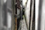 嘴巴好色三林先生：揭秘他的爱情与美食故事