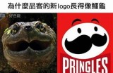 好色龙与腌黄瓜先生：探秘美食与创意的奇妙结合