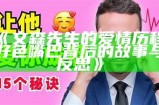文森先生的爱情历程：好色嘴巴背后的故事与反思