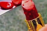 三树先生的好色嘴巴：揭示人性中的欲望与幽默