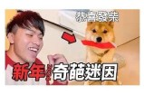 三森先生嘴巴好色：奇趣搞笑漫画带你探索色彩人生