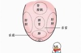 高森先生的舌头好色：探讨舌头在文化中的寓意与象征