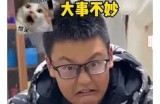 好色先生与脱衣大叔的搞笑奇遇记