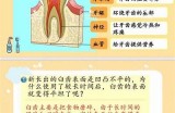 三森先生的牙齿颜色与健康：揭秘其中的奥秘与趣事