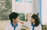 贪婪与爱情：杨先生的精彩人生故事