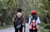 好色先生：探索色彩与人生的奇妙旅程，心灵的视觉盛宴