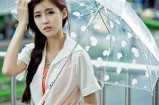 好色先生属什么生肖动物？揭秘有趣的生肖故事