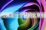 好的，请提供详细的标题主题，以便我为您生成符合百度收录标准的标题和文章。