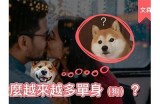 文森先生的趣味爱情故事：好色嘴巴引发的奇遇