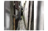 林森先生好色的嘴巴：揭示爱情与欲望的纠葛与反思