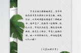 好的，请提供详细的标题，以便我为您生成符合百度收录标准的文章标题和文章内容。