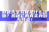 好色先生：一段关于爱情与欲望的幽默故事