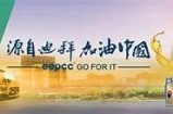 好色先生删不掉：探讨网络文化中的幽默与禁忌