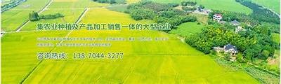 推荐使用91香蕉app的好色先生站长，畅享精彩内容与优质服务！