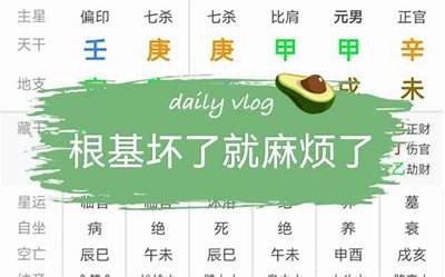 陈先生：贪财好色与一身正气的矛盾人生解析