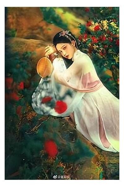 三无先生的贪财好色之路：揭秘他背后的秘密与故事