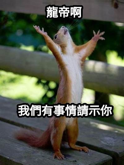 好的，请提供您想要的标题或主题，我将为您生成一篇符合百度收录标准的文章和相应的标题。