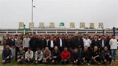 好色先生视频热播，精彩内容尽在电视平台！