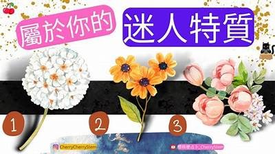 森川先生的迷人魅力与口腔美学探秘