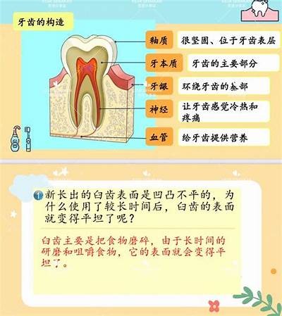 三森先生的牙齿颜色与健康：揭秘其中的奥秘与趣事