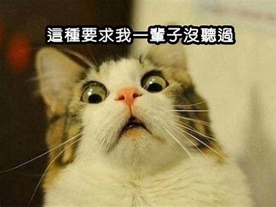 当然可以！但是请您提供一个标题，我才能根据这个标题为您写一篇文章并生成符合百度收录标准的新标题。