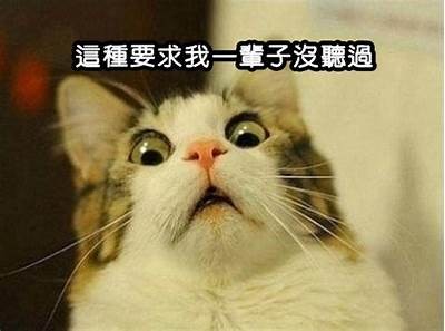 当然可以！请提供您想要的标题或主题，我会为您写一篇符合百度收录标准的文章，并生成一个适合的标题。