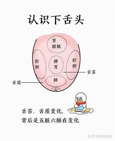 高森先生的舌头好色：探讨舌头在文化中的寓意与象征